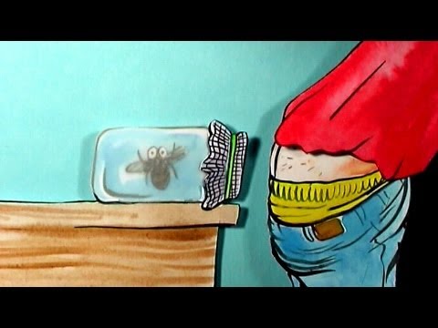Imagen de previsualización de YouTube