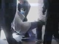 Search Video