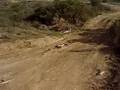 baja5b jumps!
