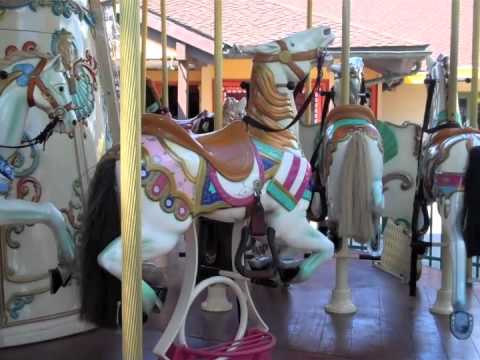 how to be disney princess height requirement