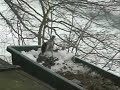 Winnipesaukee Winter Day