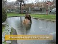 REMODELACIÓN PARQUES MIÑO Y O COUTO