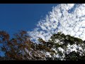 Julien Clerc - A mon age et a l'heure qu'il est