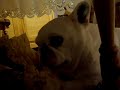 Le Noël de lili