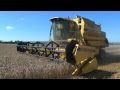 HARVESTING WHEAT - from ' bee bright - OUT AND ABOUT ON THE FARM - INCREDIBLE CROPS!'