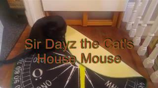 Sir Dayz the Bombay Cat's House Mouse