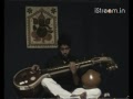Veena recital by SH Raghav  Part 5