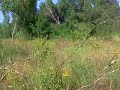 enduro entrainement saint christol les ales4