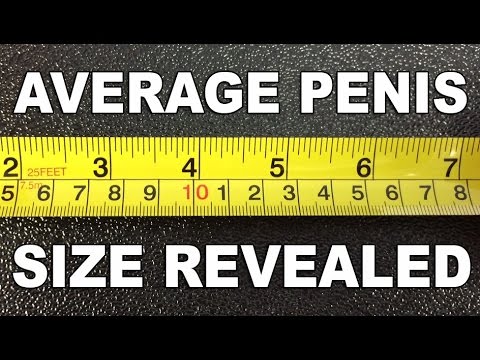 Average Penis Size Revealed - The Know