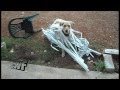 Dog Destroyed Window Blinds