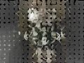 sopor aeternus - dead soul