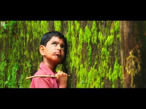 Trailer - Colors Of The Rain