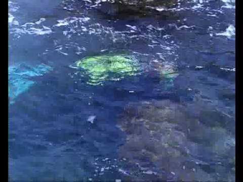 Roca Port d'en Perris L'Escala