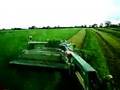 john deere 6930 Mowing a damp silage field