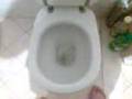 tutorial:come tirare la catena del Wc
