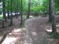 darkovice1 darkovice1