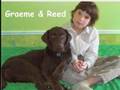 National Service Dogs 2007/2008
