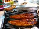 Grilled eel in Seoul, Korea
