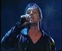 Darren Hayes - Lost Without You