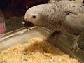 See Video