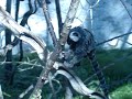 m-m-m-marmosets! m-m-m-marmosets!