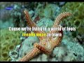 KARAOKE BEE GEES - HOW DEEP IS YOUR LOVE
