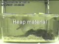 Nestbuilding with Eco-Bedding