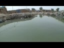 refugees-in-the-chikook-section-of-baghdad-iraq.html
