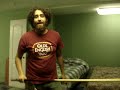 shemspeed spot 1 pool
