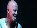 Apulanta - \ Apulanta - \