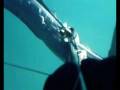 videos de pesca submarina en menduiña