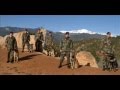 videos de Ginger Tribute