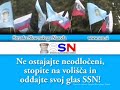 SSN volitve 2008