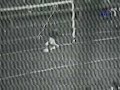 http://www.historiadeboca.com.ar/

primer gol de felman a banfield, a los 12', de penal, por el campeonato metropolitano 1976. boca 5-banfield 0
