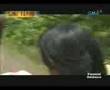 Sine Totoo: Alaga part 1 of 4
