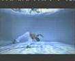 Ver Video