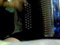 Pesado - 2 Rolas acordeon (Tejano59)