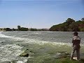 silure du bord au leurre. pas gros ... mais m�rit� ... apr�s les embrouilles qu'il m'a fait !
