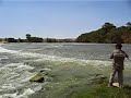 silure du bord au leurre. pas gros ... mais m�rit� ... apr�s les embrouilles qu'il m'a fait !