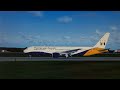 Monarch Takeoff