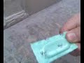 Setejaen-Atentado a la iglesia