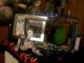 videos de Betta Chasing Laser Light