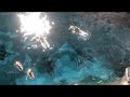 Red Alert 3 - Part 2 Red Alert 3 - Part 2