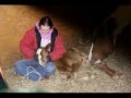 videos de Introducing... BriaRosa!