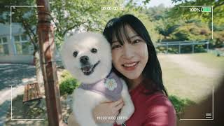 서정-적인 학과 소개 "제 1편 : 반려동물과 & 반려동물보건과"