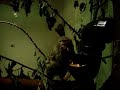Pygmy marmoset eating
