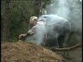 El Caliu de la Memòria
