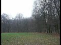 Eilenriede-Hannover