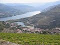 Covelinhas -  Alto Douro