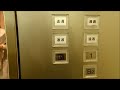 Click here to watch this video 新宿伊勢丹9・10号機三菱エレベーターMITSUBISHI Lift/Elevator（動画）